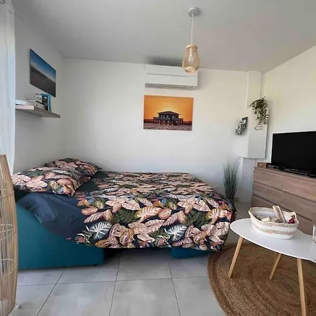 Confort + Terrasse Gujan-Mestras